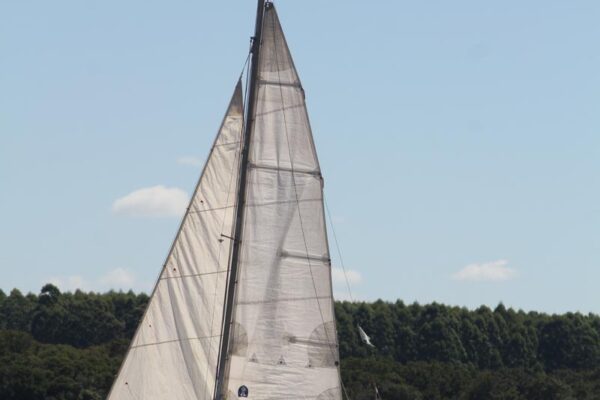 Regata-2024-100