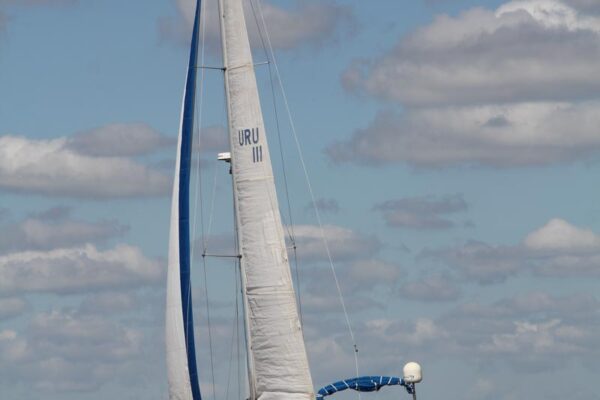 Regata-2024-115
