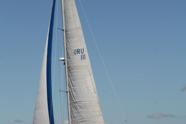 Regata-2024-118