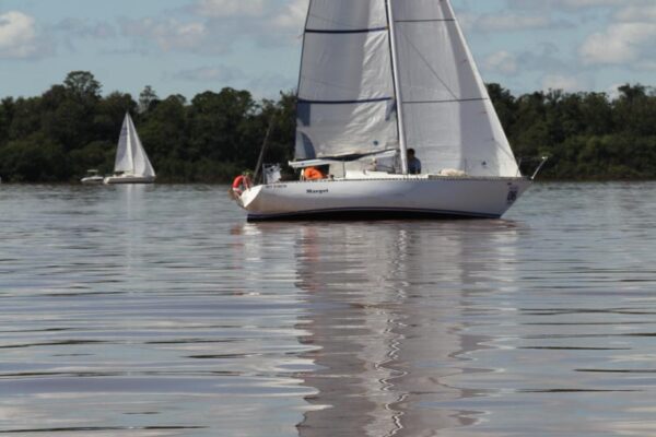 Regata-2024-205