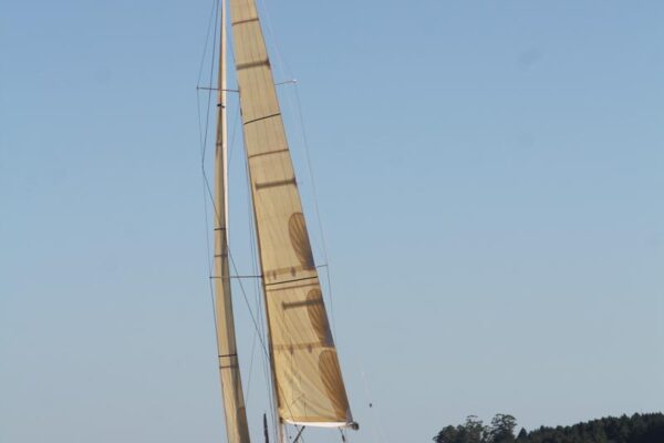 Regata-2024-241