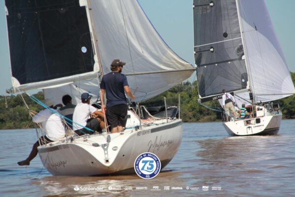 Regata-2024-287