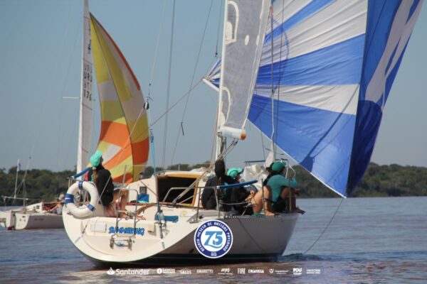 Regata-2024-301