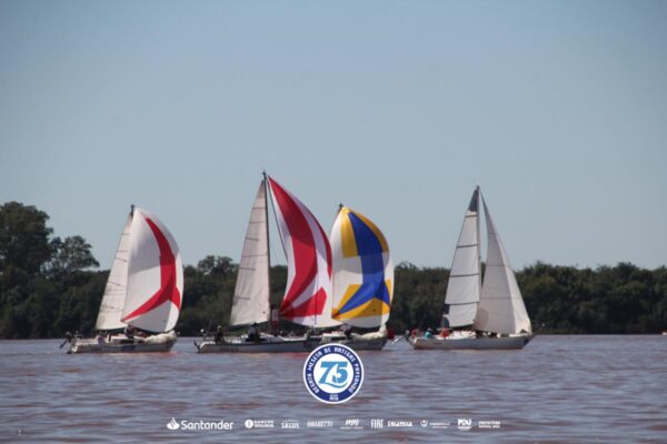 Regata-2024-303