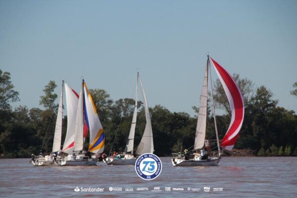 Regata-2024-305