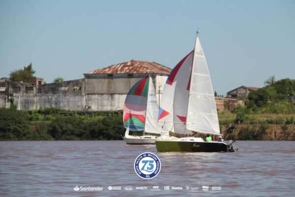 Regata-2024-310