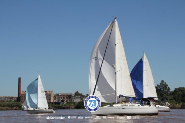 Regata-2024-311
