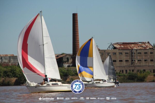 Regata-2024-313