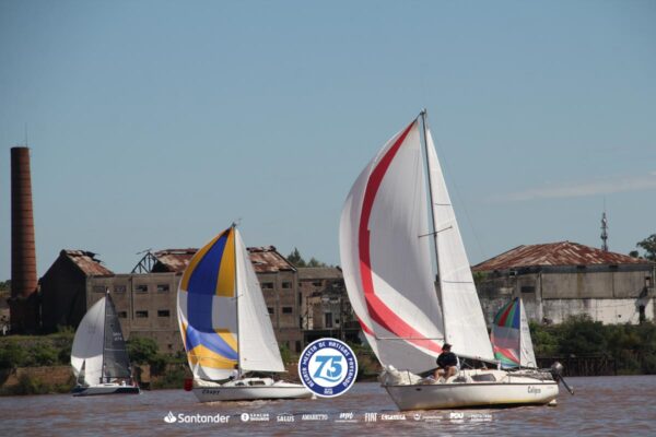 Regata-2024-314