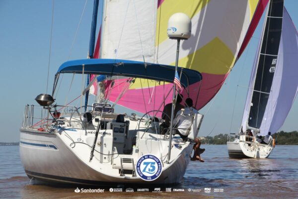 Regata-2024-322