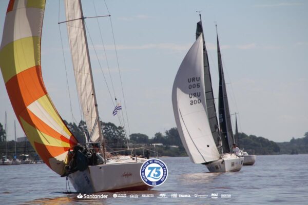 Regata-2024-324