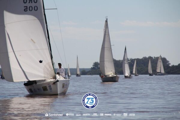 Regata-2024-325