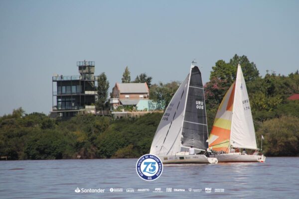Regata-2024-329