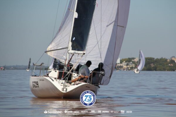 Regata-2024-330