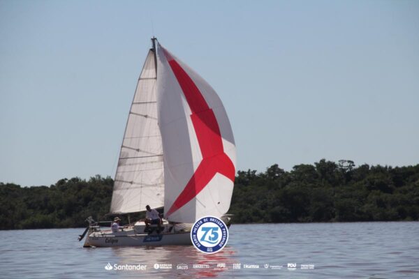 Regata-2024-337
